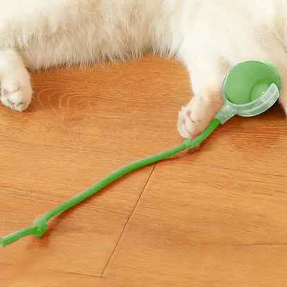 Smart Rolling Cat Toy –  Rechargeable Interactive Ball