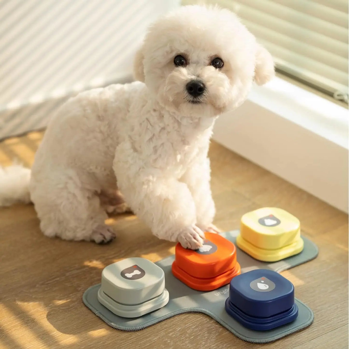 Unlock Your Dog’s Voice – Recordable Talking Buttons with Non-Slip Mat