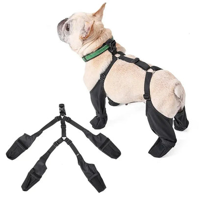 All-Weather Suspended Dog Boots – Ultimate Paw & Leg Protection