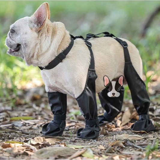 All-Weather Suspended Dog Boots – Ultimate Paw & Leg Protection