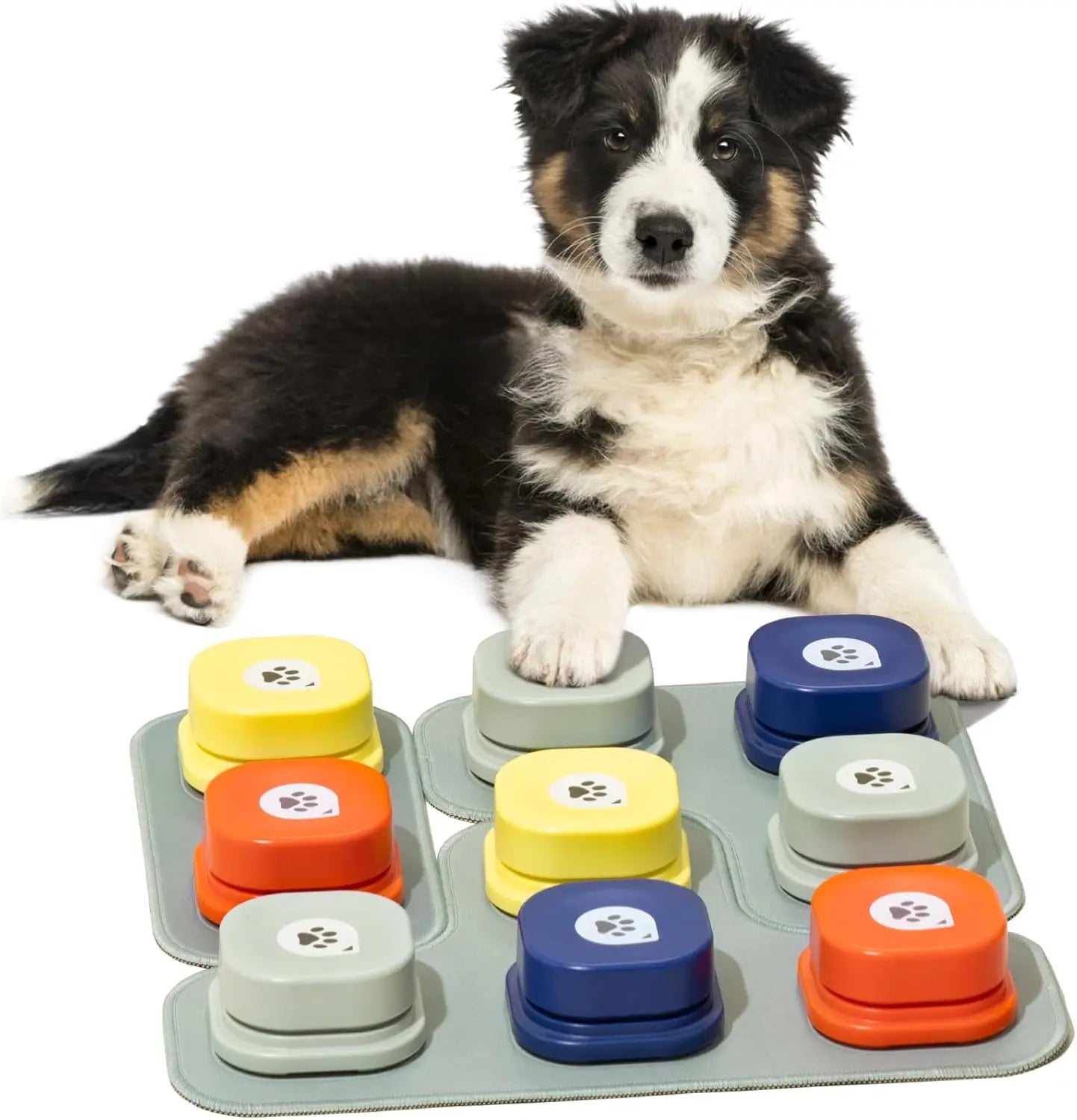 Unlock Your Dog’s Voice – Recordable Talking Buttons with Non-Slip Mat