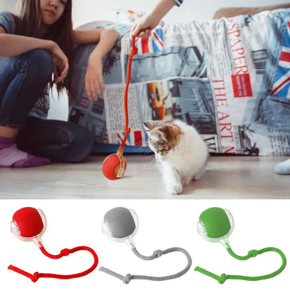 Smart Rolling Cat Toy –  Rechargeable Interactive Ball