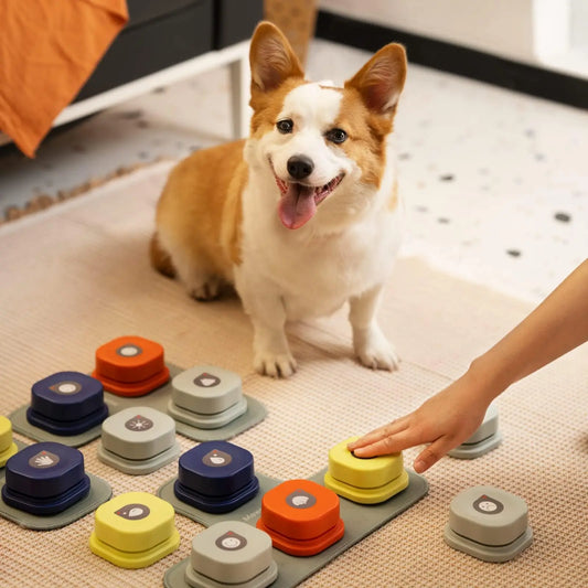 Smart Pet Communication: Talking Button System for Dogs